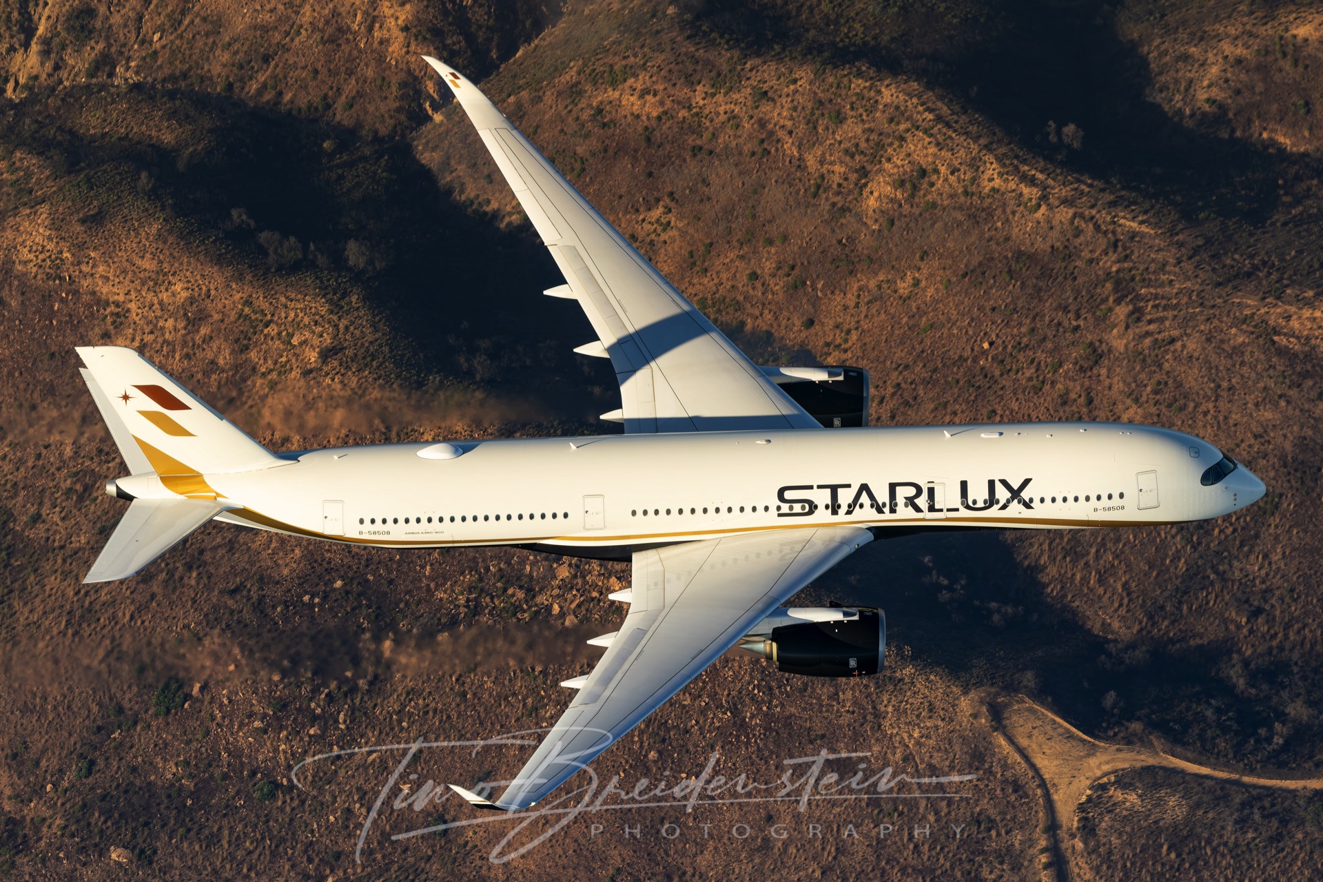 20251005 822A1614 Kopie